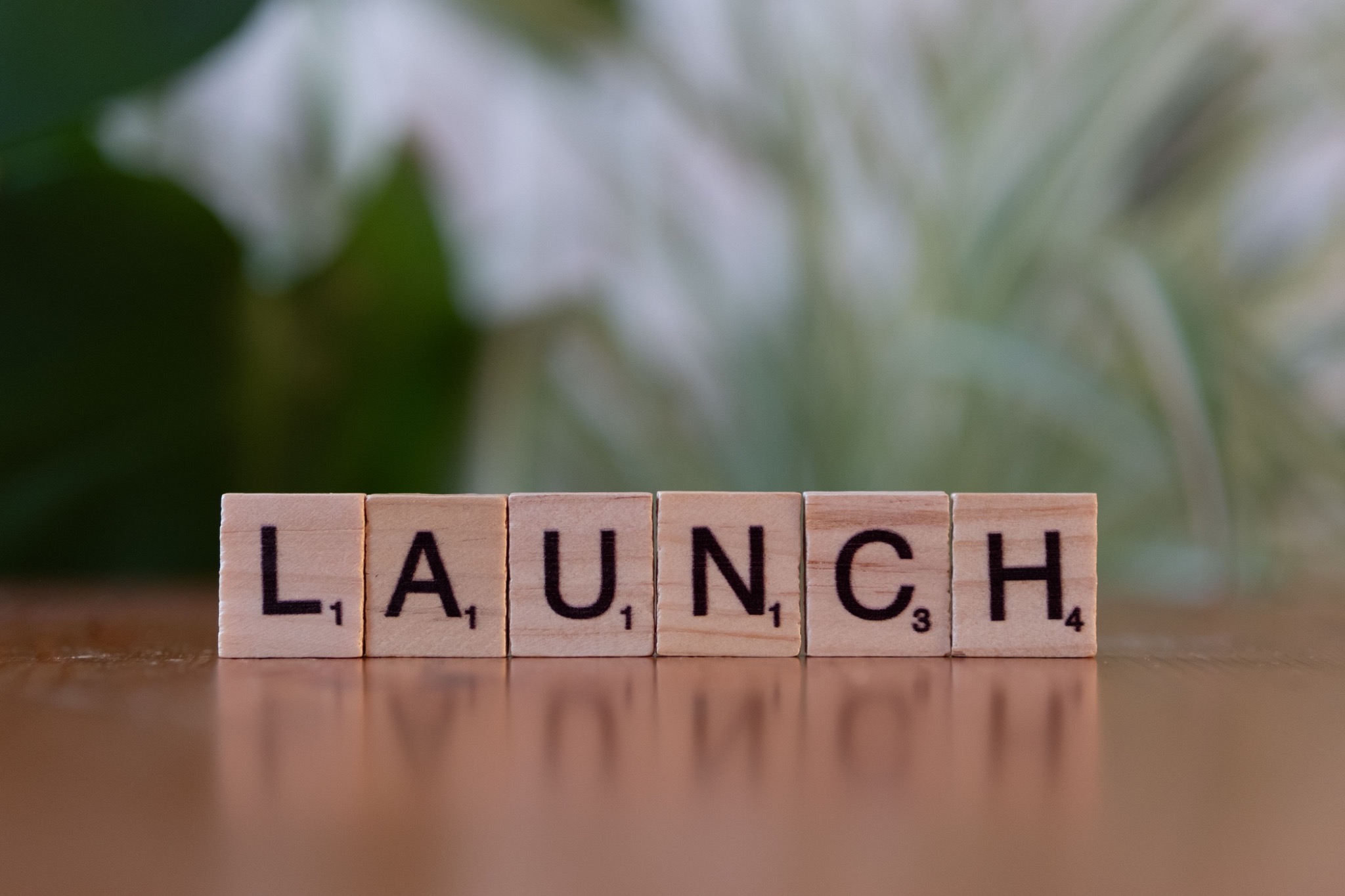 Company launch and strategic vision
